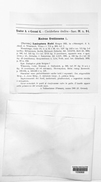 Image Associated With the Occurence